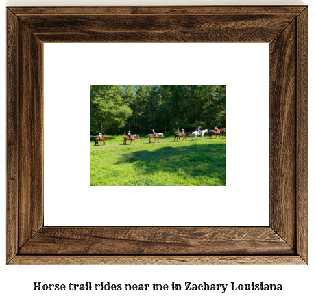 horse trail rides near me in Zachary, Louisiana